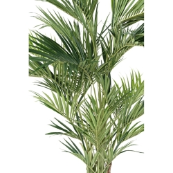 Palma Kentia Royal artificiale 270 cm