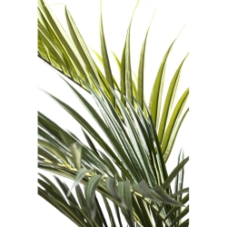 Palma Kentia Royal artificiale 270 cm