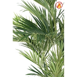 Artificial Kentia Royal palm fire resistant 270 cm