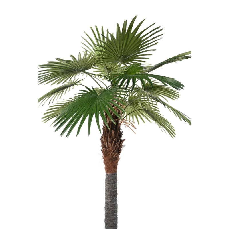Artificial Camerus fan palm 260 cm