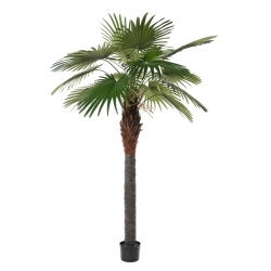 Artificial Camerus fan palm 260 cm