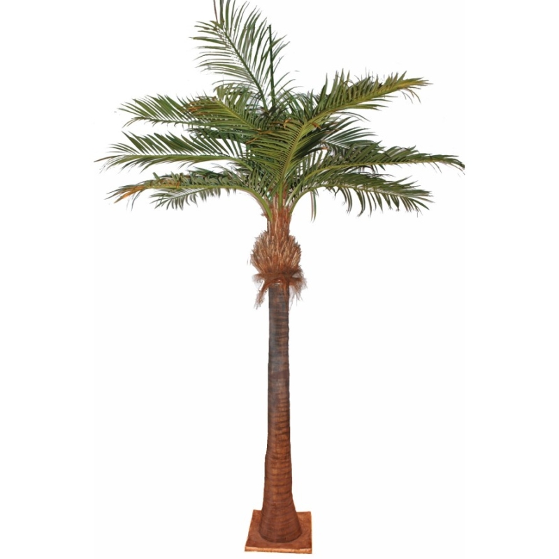 Palma da cocco artificiale 400-700 cm