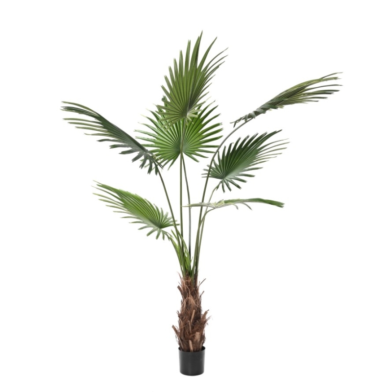 Artificial Livistona fan palm 200 cm
