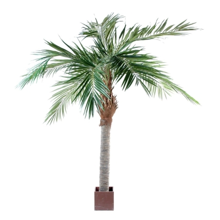 Artificial Majesty palm 250-320 cm