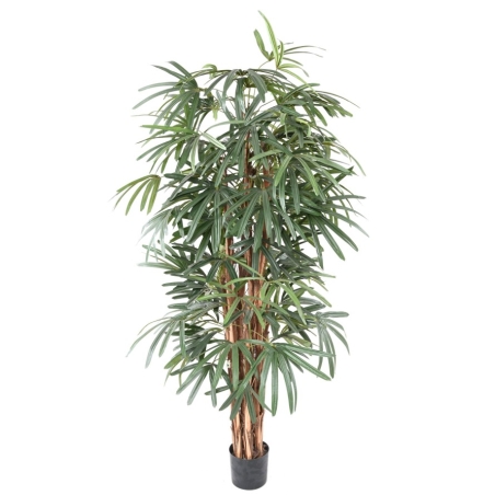 Artificial Rhapis Lady palm 150-210 cm