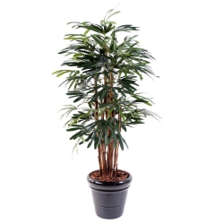 Palma Rhapis artificiale 150-210 cm
