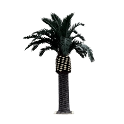Palma Royal artificiale da esterno 530 cm