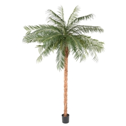 Palma Phoenix artificiale 260-450 cm