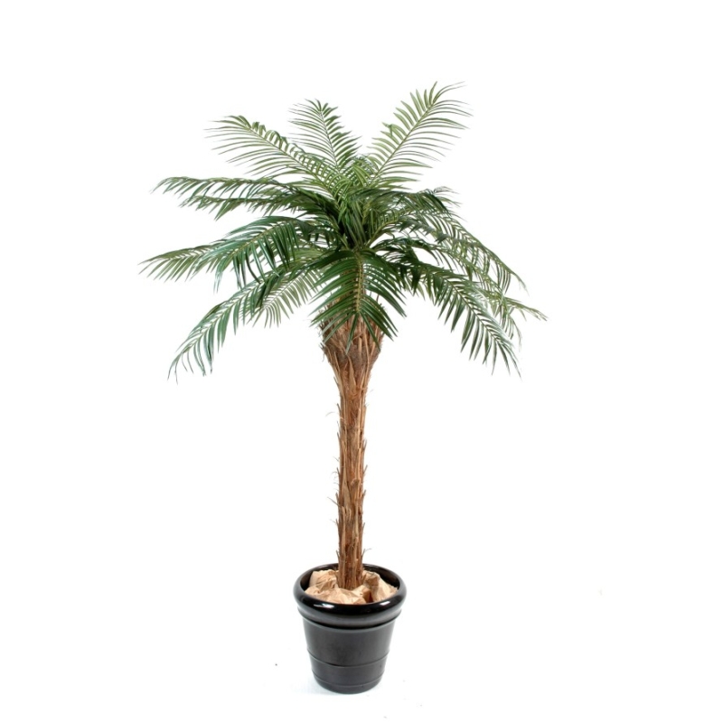 Palma Phoenix artificiale 260-450 cm