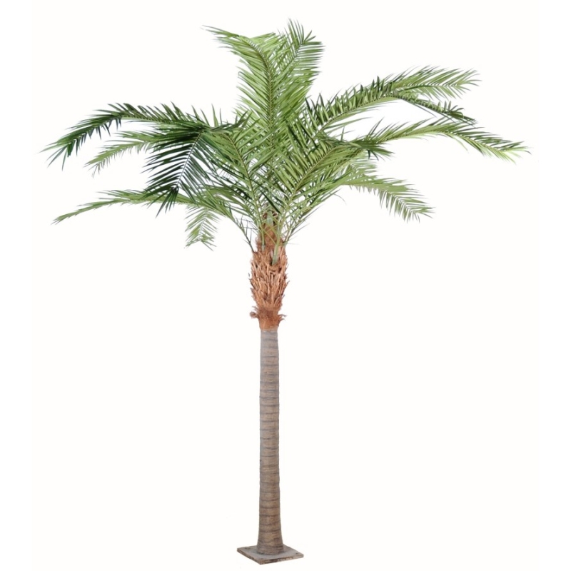 Palma delle Canarie artificiale 380-440 cm