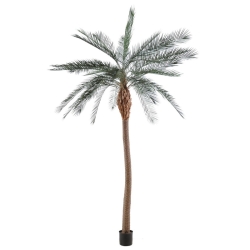 Palma Phoenix tronco largo artificiale 280-340 cm