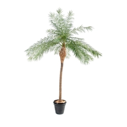 Palma Phoenix New artificiale 190-220 cm