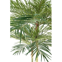 Artificial Phoenix palm 2 trunks 240 cm