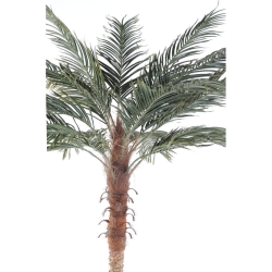 Artificial Phoenix palm with pot 210 cm