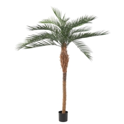 Artificial Phoenix Plast palm 220 cm