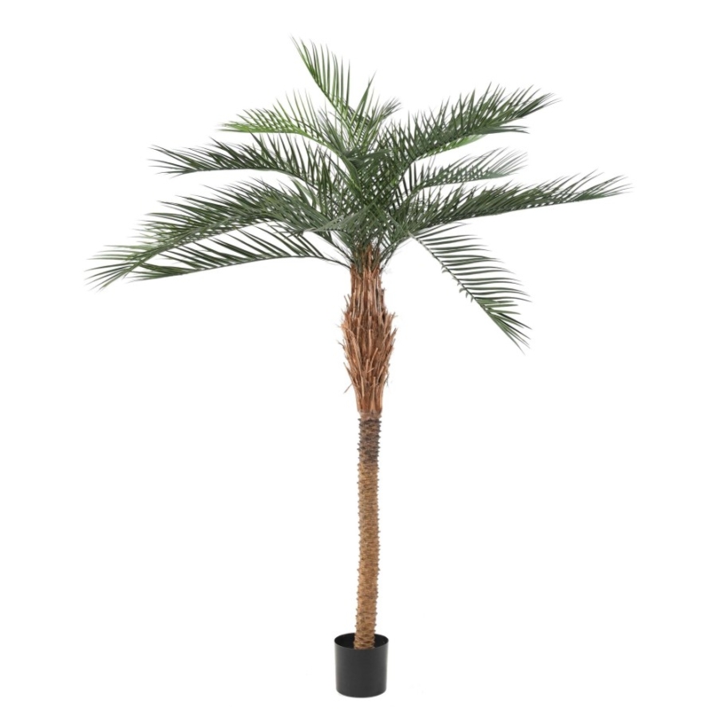 Artificial Phoenix Plast palm 220 cm