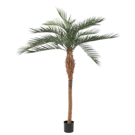 Artificial Phoenix Plast palm 220 cm