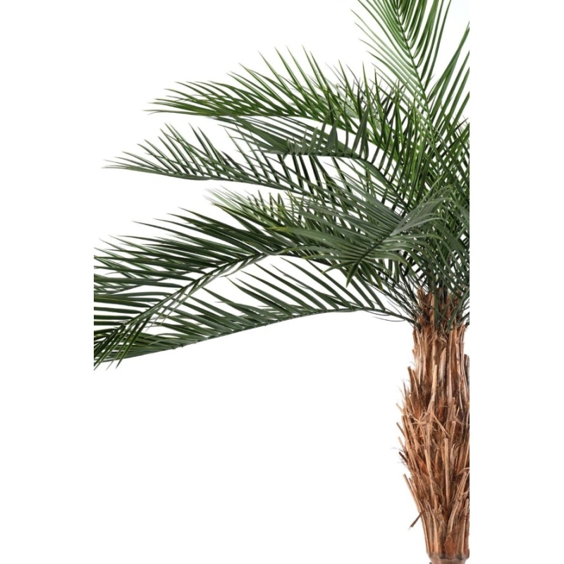 Artificial Phoenix Plast palm 220 cm