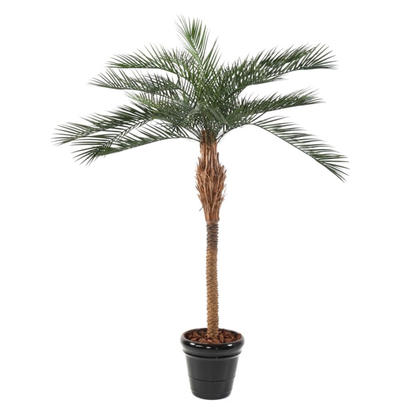 Palma Phoenix Plast artificiale 280 cm