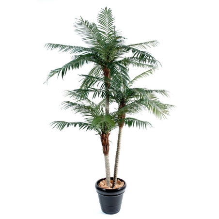 Palma Phoenix artificiale tre tronchi 225 cm