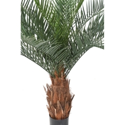 Artificial Phoenix palm wooden trunk 130 cm