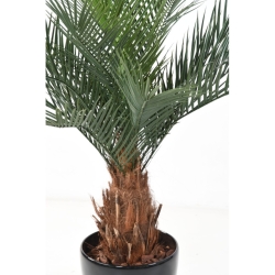Palma Phoenix artificiale tronco in legno 130 cm