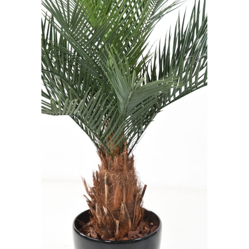 Palma Phoenix artificiale tronco in legno 130 cm