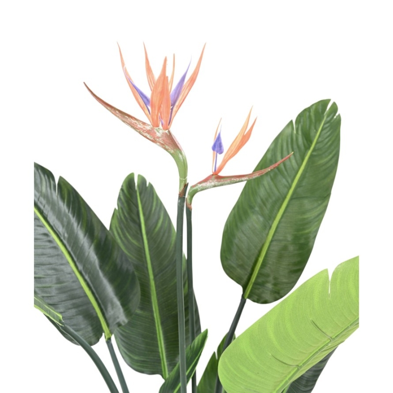Artificial Strelitzia 2 flowers 10 leaves 120 cm