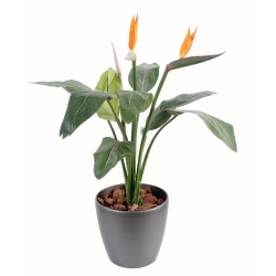 Artificial Strelitzia 2 flowers 1 bud 95 cm