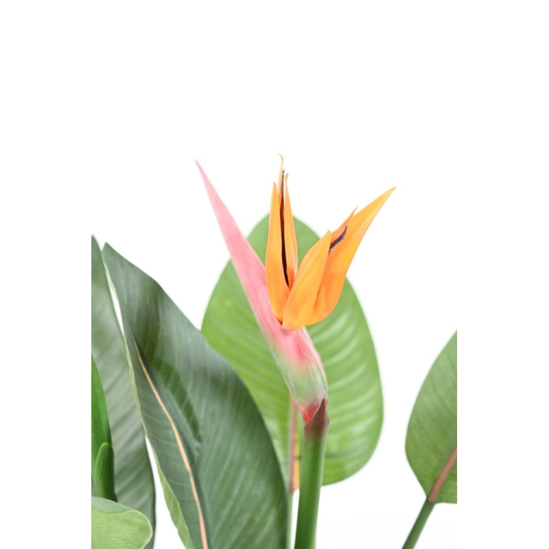 Strelitzia artificiale 2 fiori 2 boccioli 110 cm