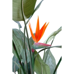 Artificial Strelitzia 3 flowers 150 cm