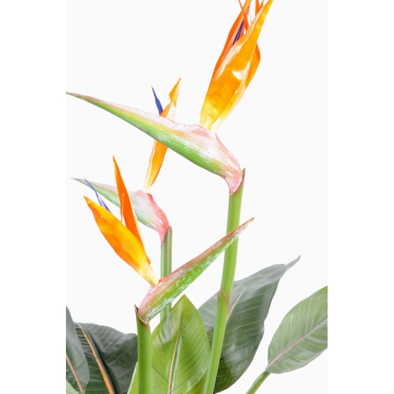 Artificial Strelitzia 3 large flowers 98 cm