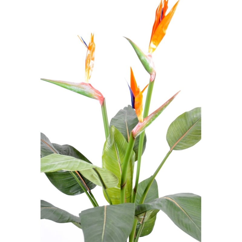 Artificial Strelitzia 3 large flowers 98 cm