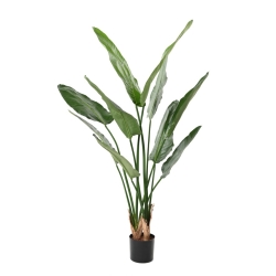 Artificial Strelitzia Nicolai 150-220 cm