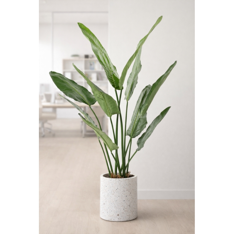Strelitzia Nicolai artificiale 150-220 cm