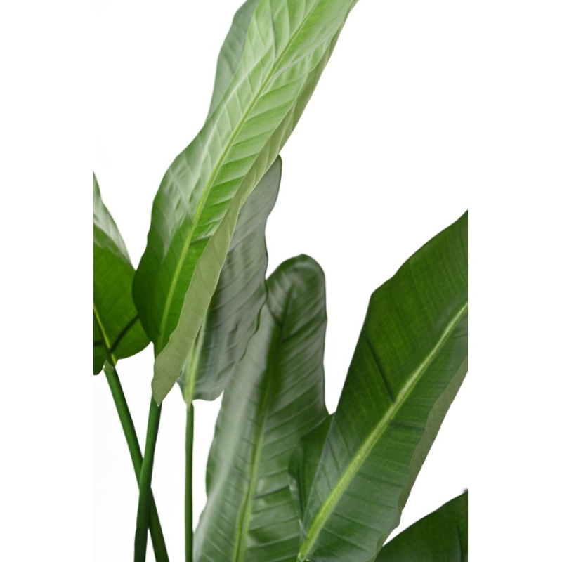 Strelitzia Nicolai artificiale 150-220 cm