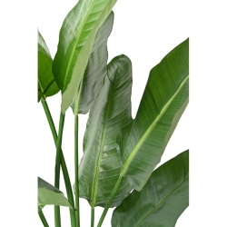 Strelitzia Nicolai artificiale 150-220 cm