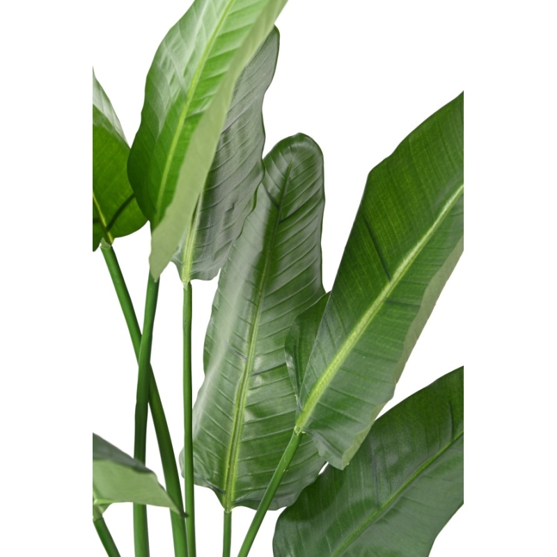 Strelitzia Nicolai artificiale 150-220 cm