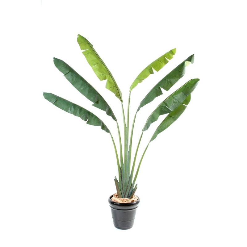 Artificial Traveller's tree 250-350 cm