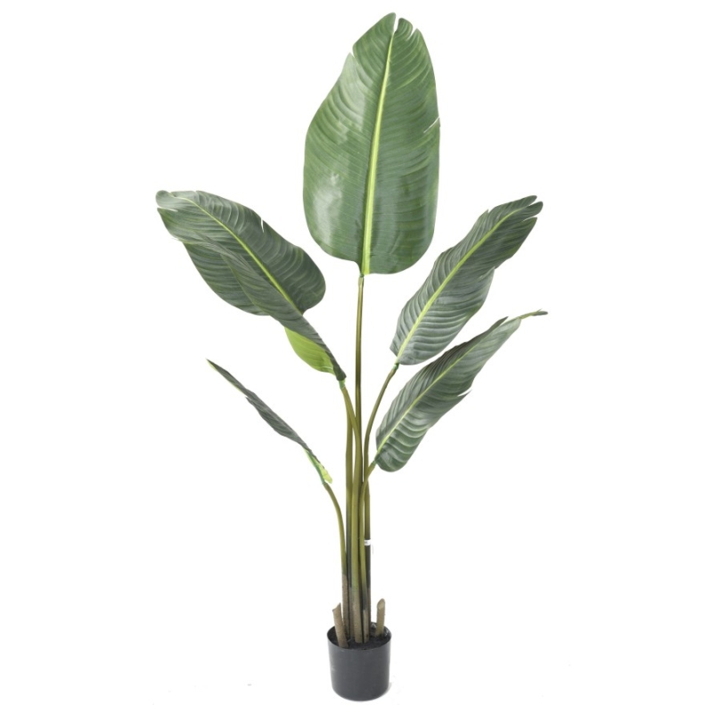 Artificial Travellers palm 135-220 cm