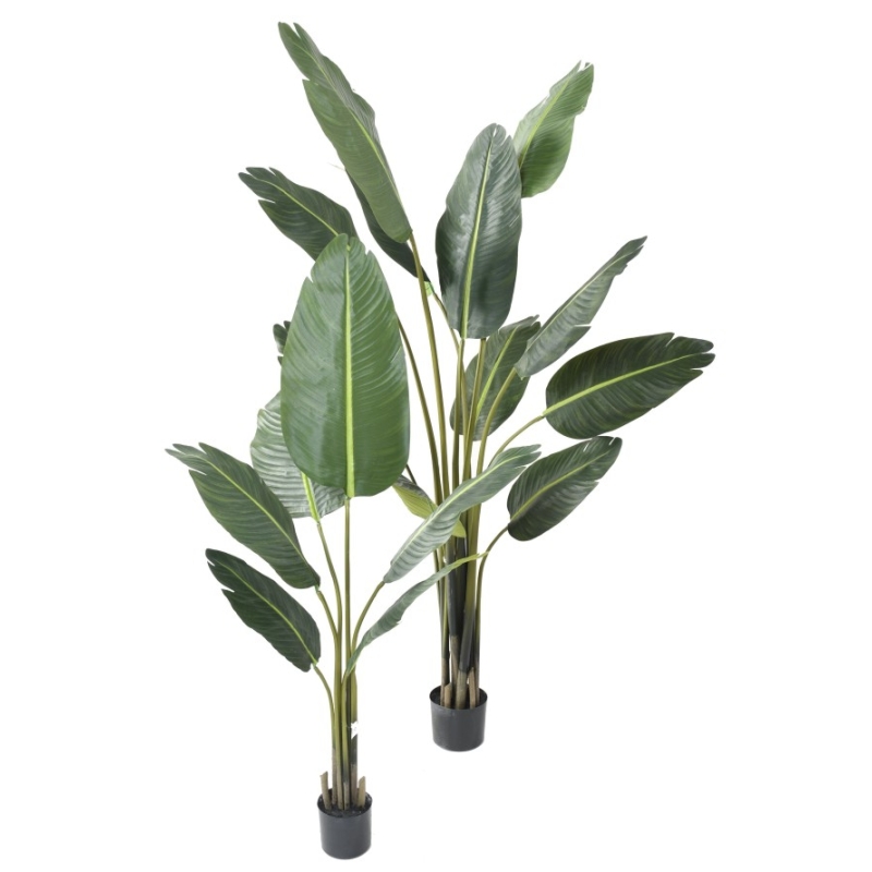 Artificial Travellers palm 135-220 cm