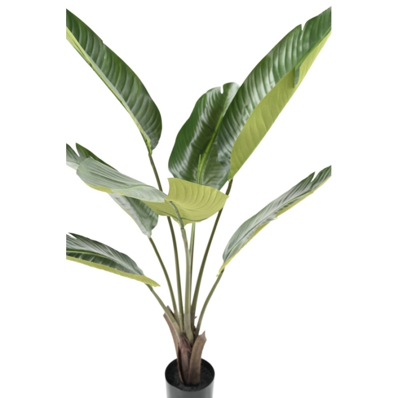 Artificial Travellers palm recyclable trunk 100-150 cm
