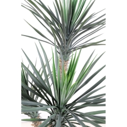 Yucca Rostrata artificiale 155 cm