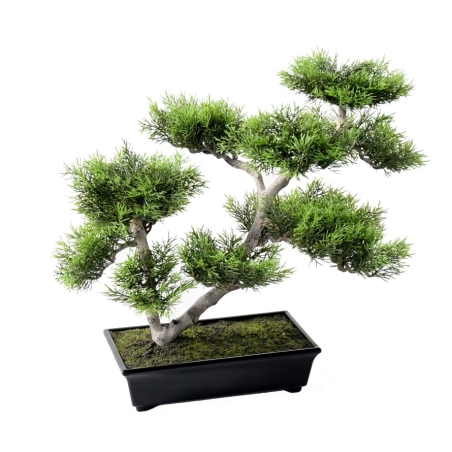 Pino bonsai artificiale a nuvola 42 cm