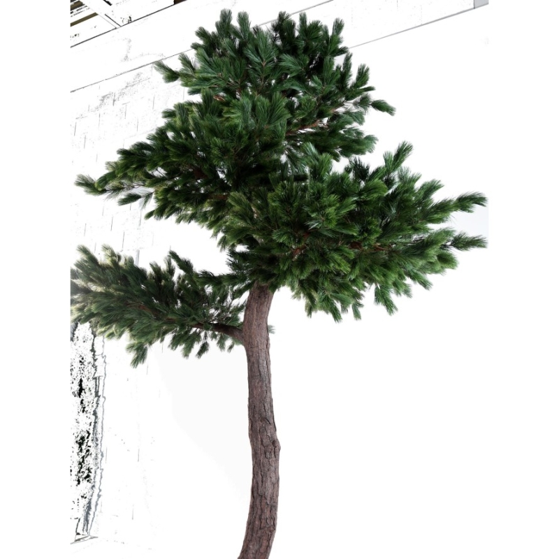 Artificial Luxury pine 400-600 cm