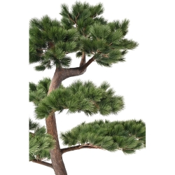 Pino silvestre artificiale 250 cm