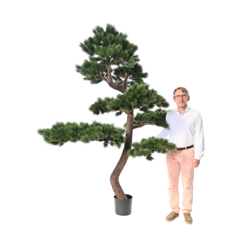Pino silvestre artificiale 250 cm