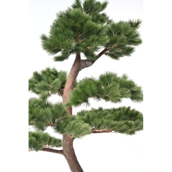 Pino silvestre artificiale 250 cm