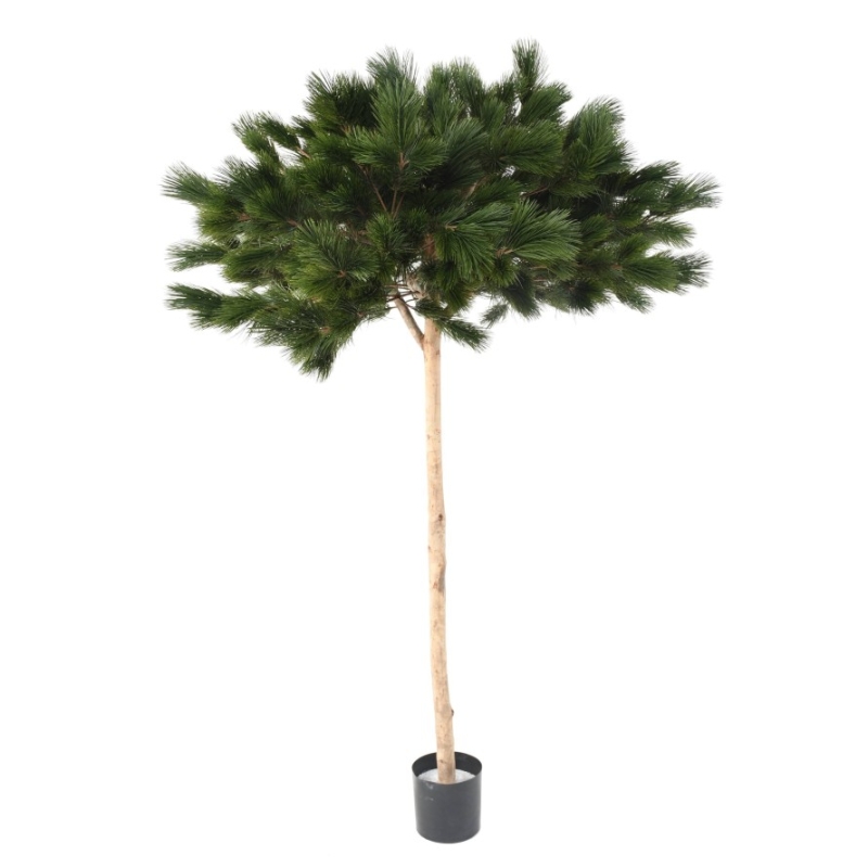 Artificial umbrella pine 210-240 cm