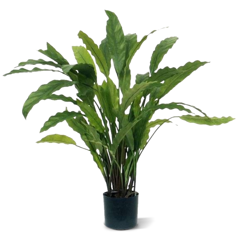 Pianta artificiale di Calathea 60 cm - verde